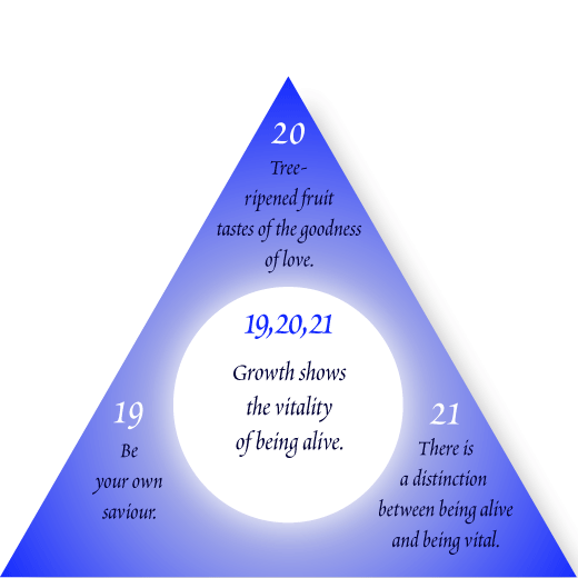 Triad-04_July_19-20-21